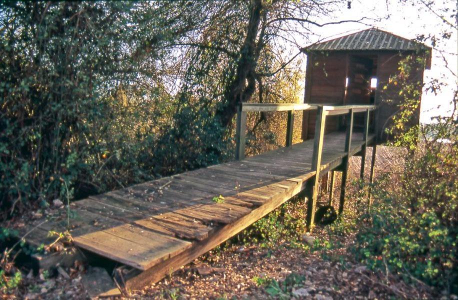 Casa O'Lado Apartman Golegã Kültér fotó